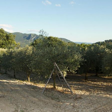 Mas Provencal La Serallere Au Coeur Des Oliviers Venterol  ภายนอก รูปภาพ