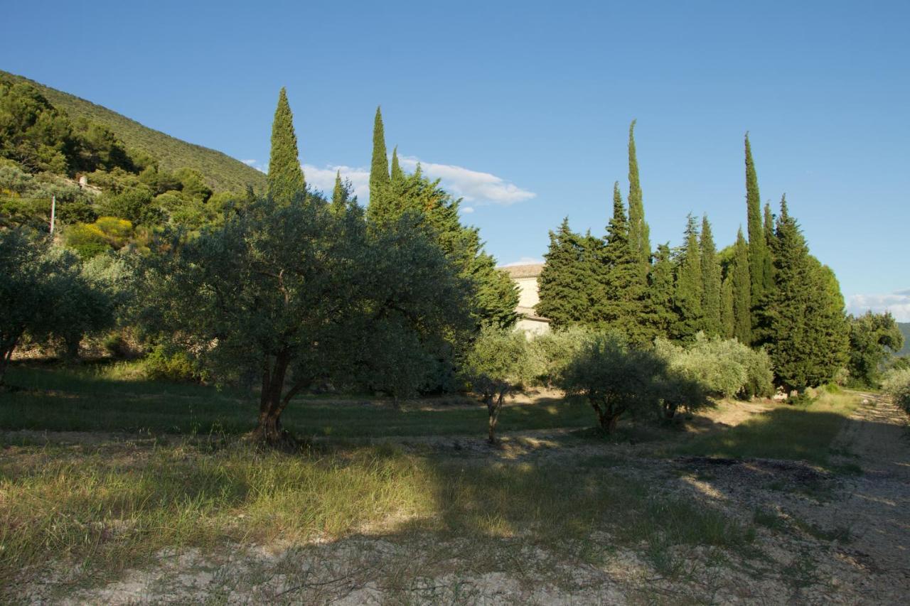 Mas Provencal La Serallere Au Coeur Des Oliviers Venterol  ภายนอก รูปภาพ